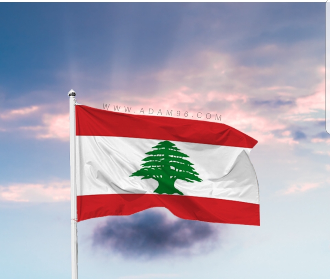 اراء و اقلام الدستور – لرئيس البلاد القوي..